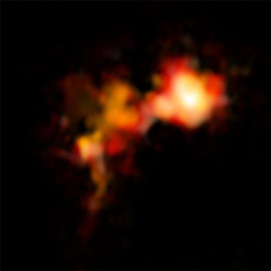 Két felhőmag az ALMA antennarendszer felvételén az N2D+ molekula (két nitrogén, egy deutérium) emissziója alapján. A jobb oldalon látható mag különösen fényes és gömbszimmetrikus, ami azt sugallja, hogy saját gravitációjának hatására összehúzódva egyetlen nagytömegű csillagot fog majd létrehozni. A másik mag szabálytalan alakú és fragmentált, belőle valószínűleg több kistömegű csillag fog majd kialakulni. Az előbbi folyamat nagyon ritka, utóbbi tekinthető a csillagkeletkezés normál menetének. [Bill Saxton (NRAO/AUI/NSF); ALMA (ESO/NAOJ/NRAO)]