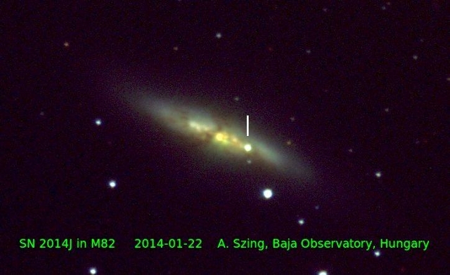 Az SN 2014J Bajáról, január 22-én este. Szing Attila a 2005 óta működő BART-1 bajai robottávcsővel, az SDSS nemzetközi standarddá vált griz sávjaiban észlelte a szupernóvát. Az eredeti képekből Vinkó József állította össze a mellékelt színes képet.