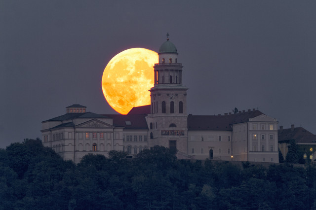 SW A kelő Hold Pannonhalma fölött  2014. szeptember 9-én kora este. A felvétel 80/600-as SW apokromáttal és SW0,85 reduktorral készült Écs belterületén, a 82-es út mellől.
