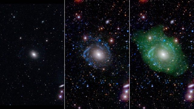 Balra egy optikai tartományban készült kép az UGC 1382 galaxisról. Ebben a tartományban egy átlagos elliptikus galaxisnak tűnik. Ultraibolya-tartományban készült képeken már látszódnak a spirálkarok (középső ábra). Ha ezt még összevetjük az alacsony sűrűségű hidrogénház eloszlásával (jobbra, zöld szín), akkor látszódik, hogy mekkora galaxissal van dolgunk.