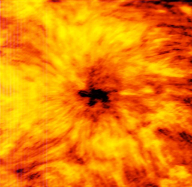 ALMA observes a giant sunspot (1.25 millimetres)