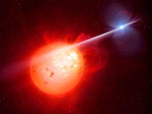 The discovery of the second white dwarf pulsar sheds light on another dark corner of stellar evolution